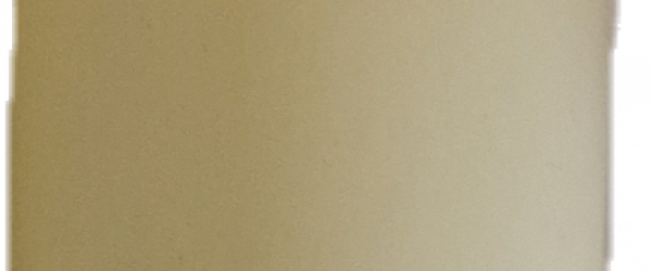 Clipped_image_20250220_111638 (1)